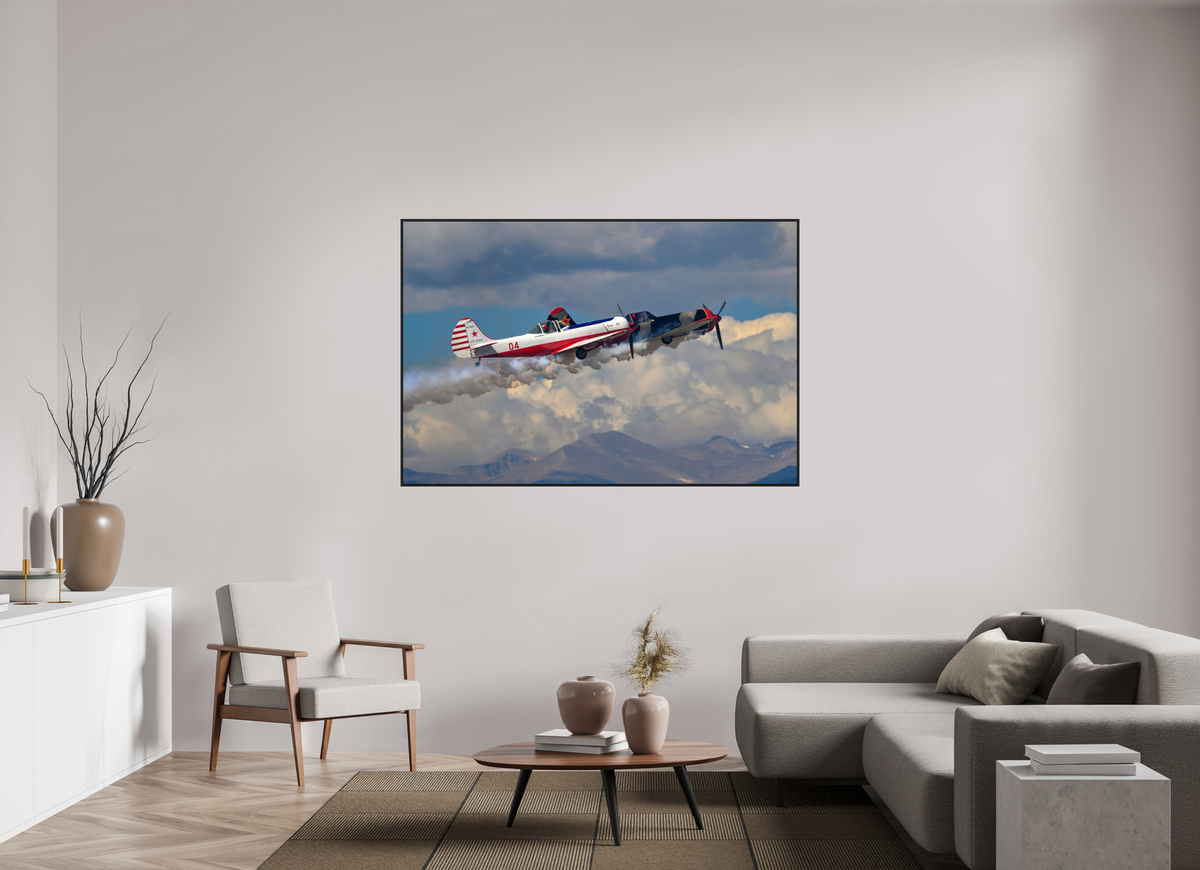 66 x 44″, Acrylic Glass Black matt .24" frame Yak 50 - Photo 3 - under acrylic glass with black frame