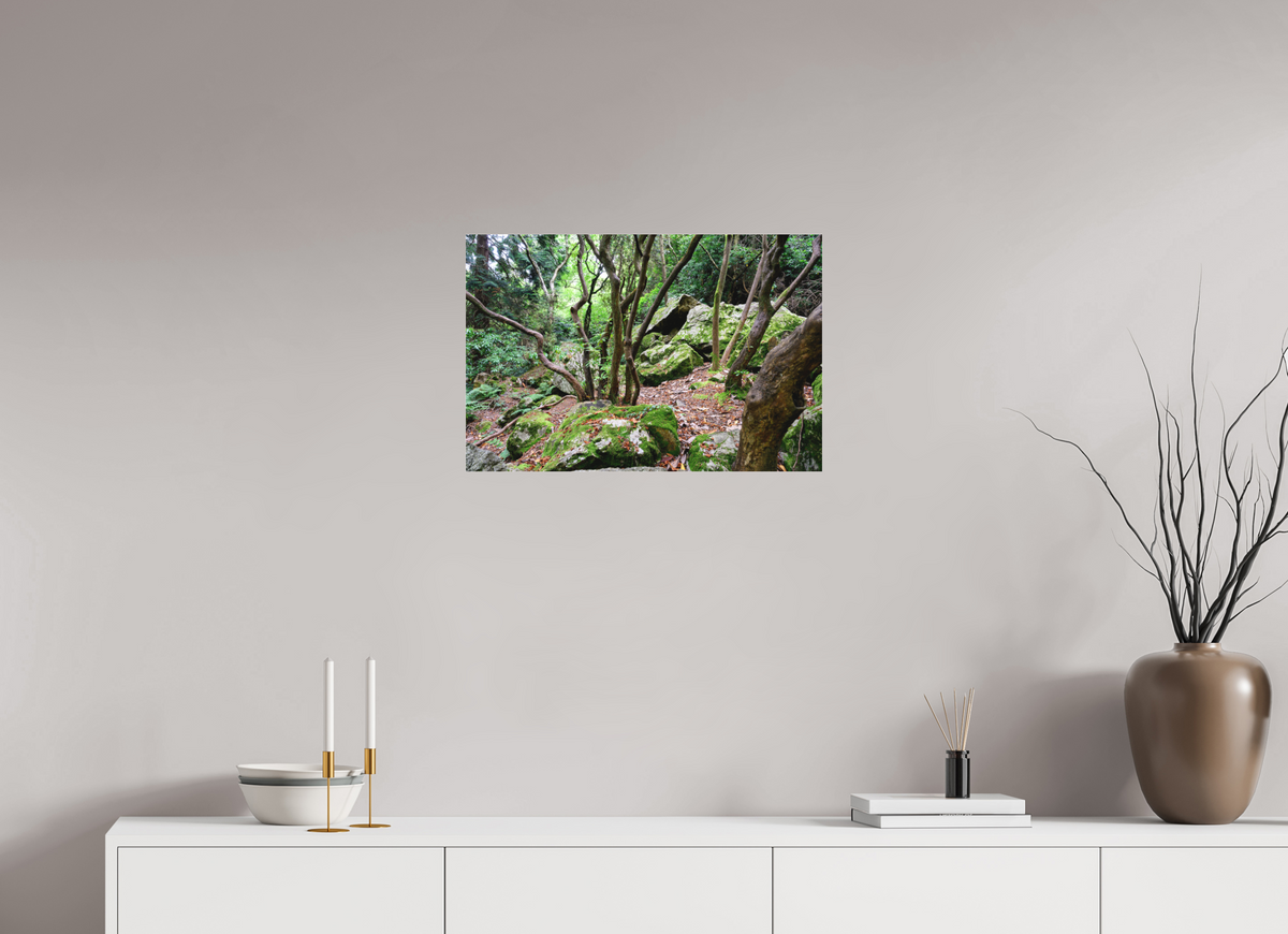 24 x 16″, Matte Acrylic Glass without frame Enchanted forest near Howth under acrylic glass