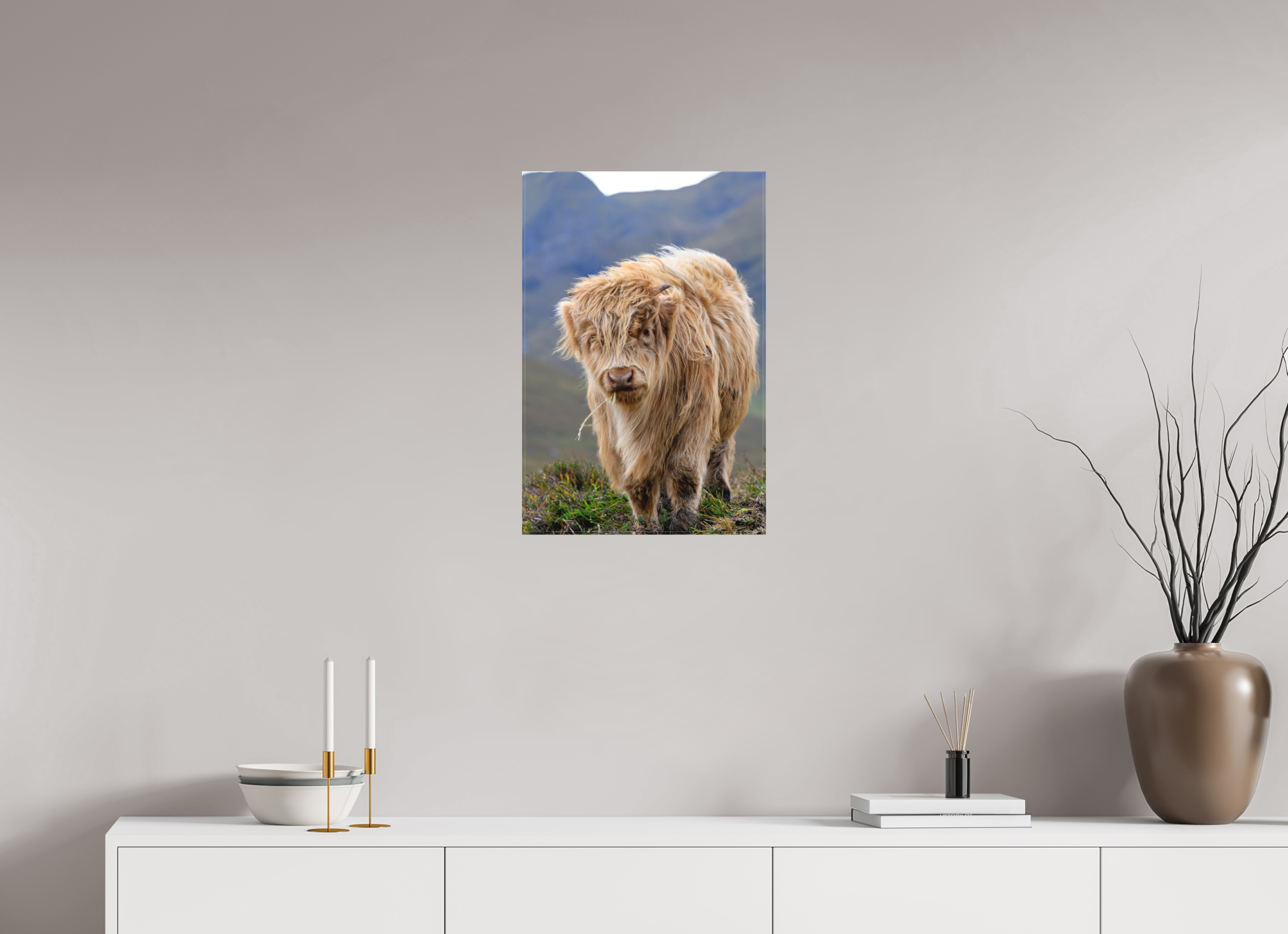 16 x 24″, Matte Canvas with wrapped edges - no frame Scottish Highland "Coo" on Canvas