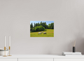 12 x 8″, Matte Canvas with wrapped edges - no frame Horses near Powerscourt Gardens on canvas