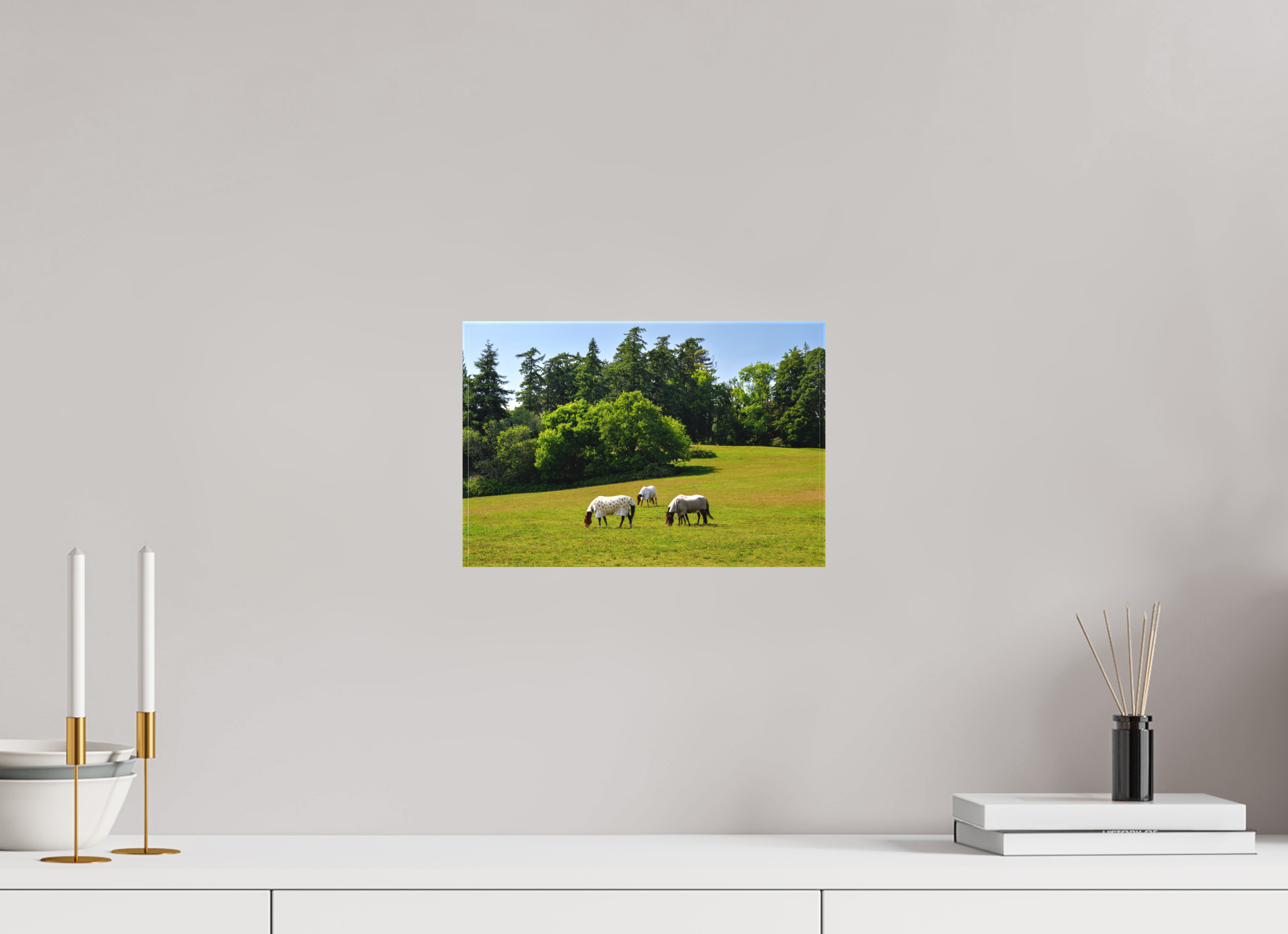 12 x 8″, Matte Canvas with wrapped edges - no frame Horses near Powerscourt Gardens on canvas