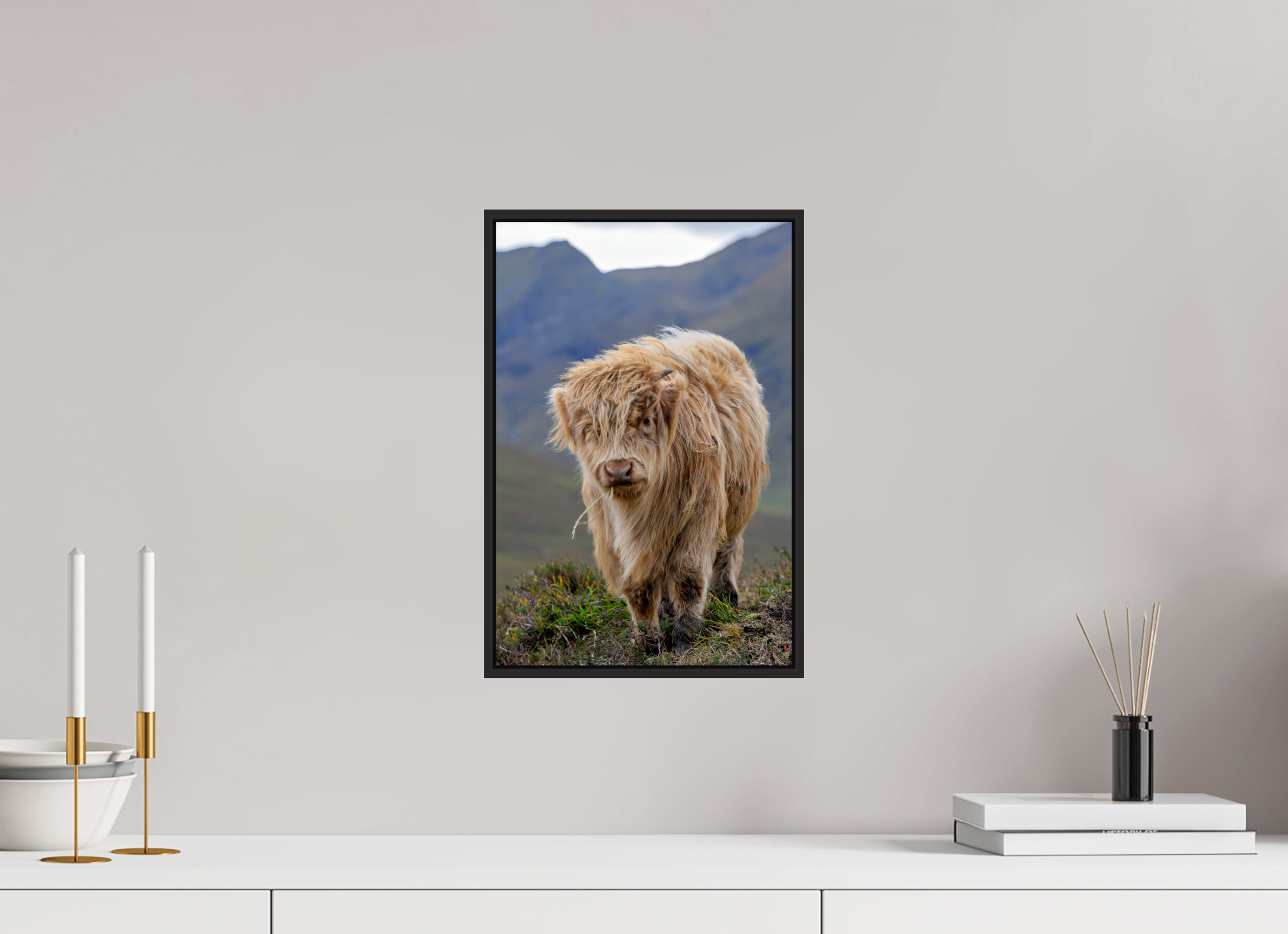 10 x 15″, Acrylic Glass Black Matt .24" frame Scottish Highland "Coo" under acrylic glass with black frame